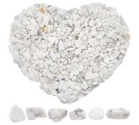 SOFPLATE 500g/1.1lb Howlite Crystal Chips Natural Gemstone Chips Small White Irregular Shaped Tumbled Crushed Stone Chip with No Holes for Jewellery Making Vase Filler Home Decorative Succulent Plants