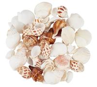 SOFPLATE 61Pcs 2-7CM Conch Shell Fish Tank Decor Natural Small Seashells Colorful Summer Sea Snail Spiral Ocean Beach Theme Animal Craft No Hole Ornaments for Wedding Home Party Vase Filler DIY Decor