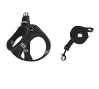 Soft Air Mesh Dog Harness And Leash Set Step In Vest For Small Dogs Adjustable Reflective No Pull Pet Walking Gear Comfortable Puppy Harness (D, L)