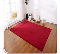 Soft and Fluffy Coral Fleece Bedroom Carpet - Thick 1cm Plush Area Rug for Living Room & Bedroom Decor, 50x80cm, Cozy Red Floor Mat for Home Comfort