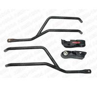 Soft Bags GIVI TR6420 for Triumph Speed Triple 1200 from 2021