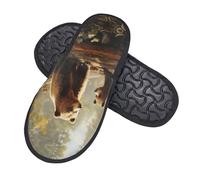 Soft Bedroom Socks Shoe Cute Bears Play In The Tree Lined House Shoes Comfort Home Slippers For Women, Spa, Bedroom L
