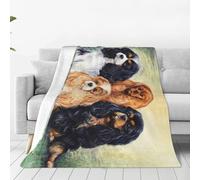 Soft Blanketblack Golden Cavalier King Charles Spaniel Ultra-Soft Micro Fleece Blanket,40x30