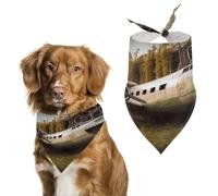 Soft & Breathable Pet Bandana for Dogs & Cats, Abandoned Plane Print Lightweight Polyester Scarf, Perfect for Daily Style Or Special Events