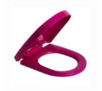 Soft Close Toilet Seat, Colored D Shape Toilet Seat, Soft Close Quick Release Top Fixed Hinge Thickened PP Bathroom Lid,Blue(Purple)
