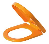 Soft Close Toilet seat, Slow Soft Close with Quick Release, Plastic Material Easy to Clean for Bathroom Washroom Home, D Shaped - Top Fix