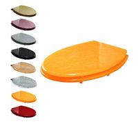 Soft-Close Toilet Seat with Quick Release Adjustable Stainless Steel Hinges Glitter Design Easy Installation & Cleaning Perfect for Modern Bathrooms - Silver Starry Light