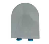 Soft Close Toilet Seat with Quick Release Button - D/U Shape, Adjustable Hinges, Black, Suitable for 18 x 14.2 inch Toilet