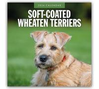 Soft-coated Wheaten Terriers 2026 Square Wall Calendar