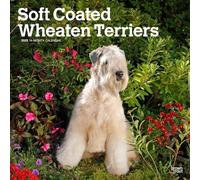 Soft Coated Wheaten Terriers Calendars 2025