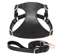 Soft Comfortable Adjustable No Pull PU Leather Dog Walking Training Harness Leash Set For Shiba Inu Chihuahua Pug Bulldog,Black,M