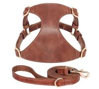 Soft Comfortable Adjustable PU Leather Dog Travel Walking Harness With 5-Foot Leash Set For Small Medium Dogs,Coffee,Xxs