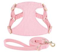 Soft Comfortable Breathable Mesh Cotton Adjustable Dog Training Harness Leash Set For Chihuahua Yorkshire Schnauzer Pug,A,2XS