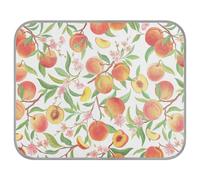 Soft Cooling Dog Mat, Ice Silk Pet Crate Pad with 3D Mesh, Washable Mattress Cushion Anti Slip Kennel 22x27.6 in Orange Peaches with Peach Slices, Green Leaves, Pink Flowers