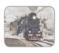 Soft Cooling Dog Mat, Ice Silk Pet Crate Pad with 3D Mesh, Washable Mattress Cushion Anti Slip Kennel 23.6x38.6 in Retro Steam Train Departs From the Station with Smoke