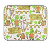 Soft Cooling Dog Mat, Ice Silk Pet Crate Pad with 3D Mesh, Washable Mattress Cushion Anti Slip Kennel 23.6x38.6 in St Patrick's Day Shamrock Clover Green Gnomes, Coins Letters