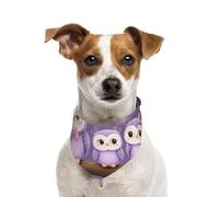 Soft Cotton Pet Bandana, Washable Bib with Snap Buttons for Small Dogs & Cats, Owls Sitting on Branch
