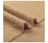 Soft Curly Woolly Pile Fleece Fabric Polyester Polar Fleece Fabric Soft Plush Material Shaggy Craft Faux Fur Fabric for Sewing Throws, Blankets, Scarves, Pet Beds, 50x160cm (Color : Apricot)
