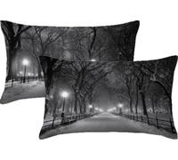 Soft Cushions Cover Black 50 x 75 Double Sided Rectangular Pack of 2 Throw Pillow Cases with Invisible Zipper for Sofa Couch Bed Garden Bench Office Car Modern Outdoor Cushions 20x30in Winter JK-484