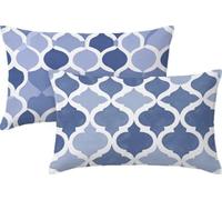 Soft Cushions Cover Blue 30 x 50 Double Sided Rectangular Pack of 2 Throw Pillow Cases with Invisible Zipper for Sofa Couch Bed Garden Bench Office Car Modern Outdoor Cushions 12x20in Nordic JK-572