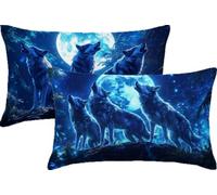 Soft Cushions Cover Wolf 60 x 30 Double Sided Rectangular Pack of 2 Throw Pillow Cases with Invisible Zipper for Sofa Couch Bed Garden Bench Office Car Modern Outdoor Cushions 24x12in Blue JK-264
