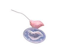 Soft Elastic Miniature Version Animal Tail Molds for Kids Clay Art Safe Materials with 14 Specifications Suitable for Creative Workshops Jewelry Tool