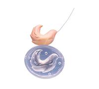 Soft Elastic Miniature Version Animal Tail Molds for Kids Clay Art Safe Materials with 14 Specifications Suitable for Creative Workshops Jewelry Tool