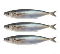 Soft Fishing Lure, Trout Soft Plastic Lures, 15cm 33.5g, 3D Printed Mackerel Bait, Realistic Silicone Swim Action, Lifelike Tail Design, Mackerel Bait, for Bass Trout Fishing