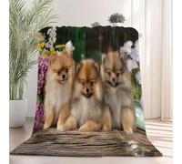 Soft Flannel blanket 150×200 cm, Close-Up Flowers Pomeranian Animals Printed Plush Cozy Flannel Lightweight Throw Black Blanket for Bed Couch Chair Sofa Suitable for All Season