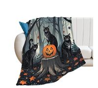 Soft Flannel Fleece Throw Blanket, Lightweight & Cozy - All Season Decorative Blankets Art Fall Blanket for Couch, Bed, Car, Travel, Office Nap