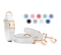 Soft Leather Dog Collar and Lead Set - Stylish Rose Gold Dog Lead and Collar Set with Heavy Duty Metal Buckle, 6.6' Multi-Function Double Ended Lead for Small Medium Large Dogs White XS