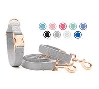 Soft Leather Dog Collar and Lead Set - Stylish Rose Gold Dog Lead and Collar Set with Heavy Duty Metal Buckle, 6.6' Multi-Function Double Ended Lead for Small Medium Large Dogs Grey XS