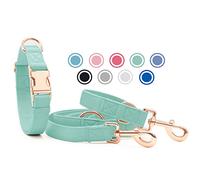 Soft Leather Dog Collar and Lead Set - Stylish Rose Gold Dog Lead and Collar Set with Heavy Duty Metal Buckle, 6.6' Multi-Function Double Ended Lead for Small Medium Large Dogs Mint Green L