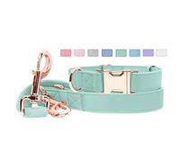 Soft Leather Dog Collar and Leash (6.6') Set - Stylish Rose Gold Heavy Duty Metal Buckle, 4 Adjustable Lengths Leash for Small Medium Large Dogs - Comfortable & Easy to Clean (Green, L(15.4"-24.8"))