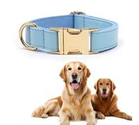 Soft Leather Dog Collars with Safety Quick Release Metal Buckle, Natural Cotton Padded Leather Collar for Small Medium Large Dogs (Blue,XS)