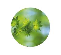 Soft Magnetic Hd Green Nature Print Fridge Magnet Decorative Refrigerator Magnet For Kitchen Decor Souvenir Gift