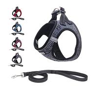 Soft Mesh Dog Harness and Lead Set, Reflective Breathable Lightweight Padded No Pull Step-in Escape Proof Vest Harnesses with Leash for Puppy Small Dogs-Grey||L (Pack of 1)