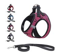 Soft Mesh Dog Harness and Lead Set, Reflective Breathable Lightweight Padded No Pull Step-in Escape Proof Vest Harnesses with Leash for Puppy Small Dogs-Pink||L (Pack of 1)