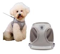 Soft Mesh No Pull Cat Harness and Lead Set for Walking, Escape Proof Puppy Kitten Vest Harnesses for Animals Rabbit/Cats Cat Collar XS Under 3lbs
