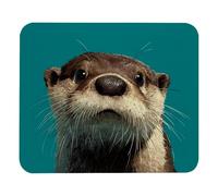 Soft Mouse Pad Bank Beaver Ocean Animal Cartoon Cute Turquois Office Mousepad Keyboard Pad 25x30cm for Office,Laptop,Game