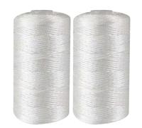 Soft Nylon Yarn for Knitting - 2pcs Crochet Raffia Yarn for Bags, Hats, Summer Crafts, Handmade Knitting, DIY Crochet Projects, Thick and Flexible Thread