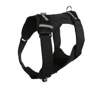 Soft Padded Pet Harness Compatible For Sports Cameras From Your Dog's Perspective With Accessories Adjustable Pet Camera Strap