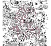 The Soft Pink Truth - Why Do Heathen Rage?