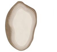 Soft Plush Area Rug - Irregular Oval Carpet for Living Room, Simple Modern Design, Cozy Home Decor for Any Space