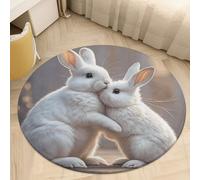 Soft Plush Round Area Rug 2' Thin 0.2" Low Pile Coral Velvet Non-Slip Bunny Hug Circle Rugs Carpet Absorbent Quick-Dry Door Mat for Entryway Bathroom Living Room Bedroom Decor
