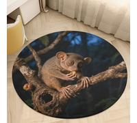 Soft Plush Round Area Rug 2' Thin 0.2" Low Pile Coral Velvet Non-Slip Foraging Aye - Aye Circle Rugs Carpet Absorbent Quick-Dry Door Mat for Entryway Bathroom Living Room Bedroom Decor