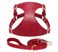 Soft PU Leather Adjustable Dog Training Walking Harness Leash Set For Yorkshire Terrier Pug Chihuahua Schnauzer,Red,S