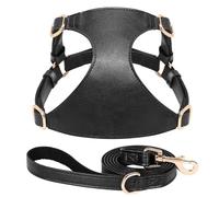 Soft PU Leather Dog And Cat Vest Harness With Lead Leash Adjustable Pet Harness And Leash Set For Small And Medium Dogs And Cats Chihuahua,Black,XS