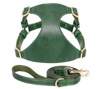 Soft PU Leather Dog And Cat Vest Harness With Lead Leash Adjustable Pet Harness And Leash Set For Small And Medium Dogs And Cats Chihuahua,Green,S