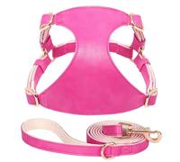Soft PU Leather Dog And Cat Vest Harness With Lead Leash Adjustable Pet Harness And Leash Set For Small And Medium Dogs And Cats Chihuahua,Rose,2XS